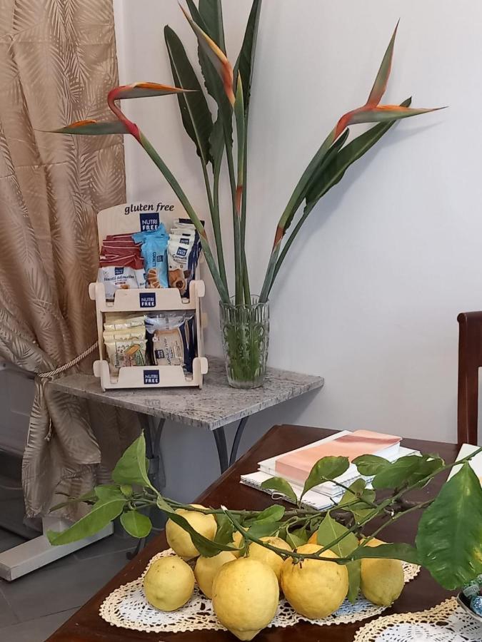 阿菲塔卡梅尔达卡拉酒店 博纳索拉 外观 照片